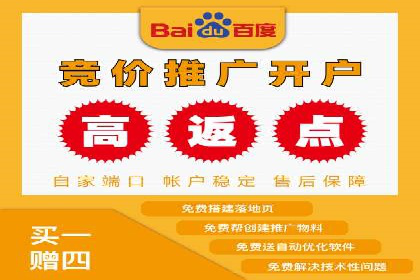 成功背后的力量：SEM推广代运营公司的故事